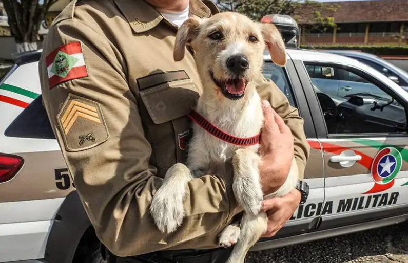 Resgatado de um lixão, o cãozinho Mike foi adotado e hoje vive cheio de agrados na 3ª Companhia do 25º Batalhão.