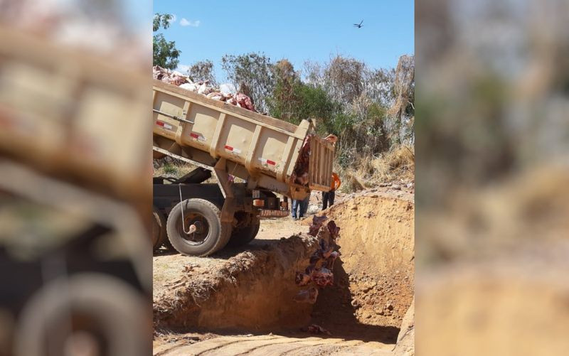 Operação do MP apreende 12 toneladas de carne clandestina em Formosa — Foto: Divulgação/Ministério Público de Goiás