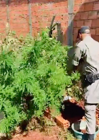 Foto Reprodução Vídeo: Polícia Militar