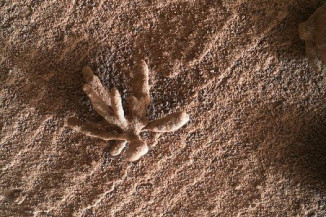 Foto: Curiosity/Nasa