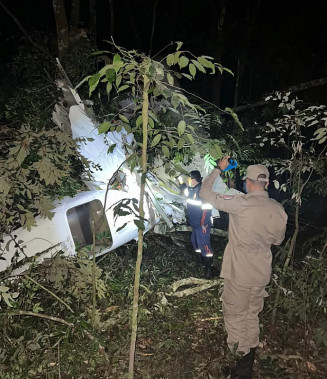 Avião caiu em área de mata no interior do estado — Foto: Divulgação
