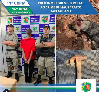 Foto: Reprodução/Polícia Militar