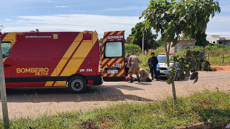 Foto: Reprodução/Corpo de Bombeiros