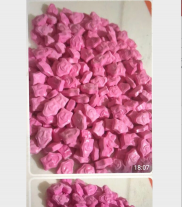 Genarc prende narcotraficante com mais de 483 comprimidos de MDMA, conhecido popularmente como bala; veja fotos