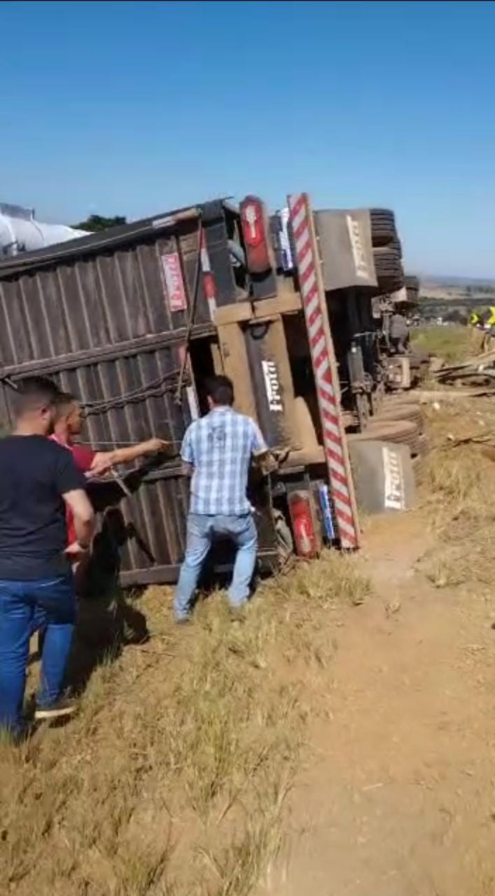 Caminhoneiro perde controle de carreta carregada de gado, tomba na BR-060 e  acaba morrendo; veja vídeo | Portal Foca Lá