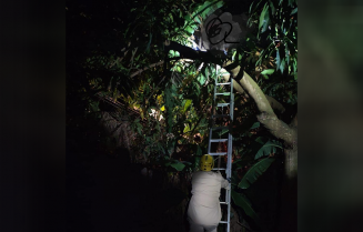 (Foto: Divulgação/Corpo de Bombeiros)