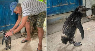 Dindim e seu João Pereira, pescador que o salvou. Foto: Reprodução Redes Sociais