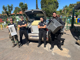 Foto: Reprodução/Polícia Civil