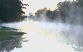 Jardim Botânico em Goiânia amanhece com neblina em lago por conta do frio — Foto: Reprodução/TV Anhanguera