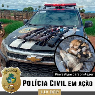 Foto reprodução: Polícia Civil