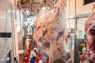 Números recordes de abates de bovinos e aves registrados no segundo trimestre deste ano são reflexo também do fortalecimento da defesa agropecuária no estado (Foto: Larissa Melo/Sistema Faeg)