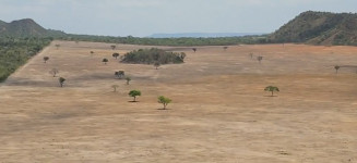 A devastação atingiu quase dez mil hectares de Cerrado no nordeste goiano, uma área maior que a cidade de Vitória, no Espírito Santo.