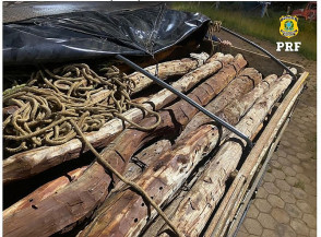 PRF apreende carga de madeira de lei em Formosa/GO