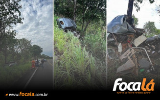 Criança de 9 anos morre e pai fica ferido, após carro desviar de capivara e bater em árvore na GO-118