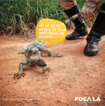 Iguana é resgatada no Setor Nordeste