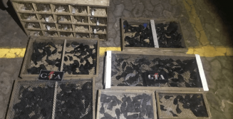 Foto: Reprodução PMDF