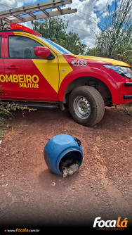Corpo de Bombeiros resgata Jibóia em Formosa