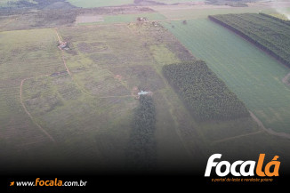 MP aciona Justiça contra empresa por danos ambientais em área protegida de Formosa