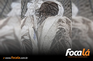 Polícia estoura ponto de crack e recolhe 10 kg de cabos na Asa Norte