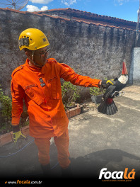 Corpo de Bombeiros resgata tucano no Setor Nordeste, em Formosa
