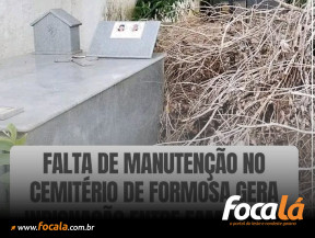 Moradora denuncia queda de árvores no cemitério de Formosa e cobra providências da prefeitura