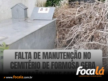 Moradora denuncia queda de árvores no cemitério de Formosa e cobra providências da prefeitura