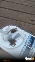 Guarda Municipal flagra uso de drogas na Mata da Bica e encaminha envolvidos à delegacia