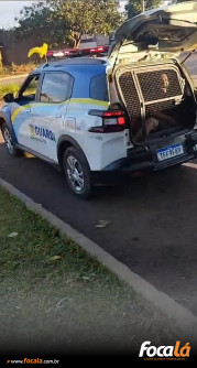 Condutor envolvido em acidente é apreendido após desacatar e ameaçar agentes da Guarda Municipal