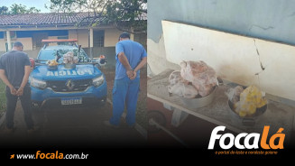 Homens embriagados furtam galinhas caipiras e pequi de propriedade rural
