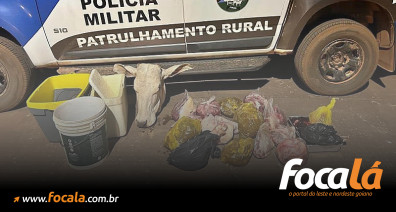 Batalhão Rural prende suspeito de furtar vaca em São João D'Aliança