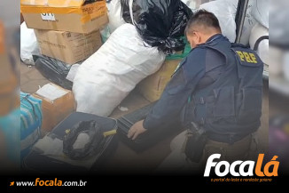 Ossada encontrada em ônibus no DF é de homem morto em 2006 em SP. Veja