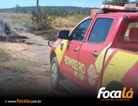 Incêndio em Vegetação Mobiliza Bombeiros Próximo à UEG em Formosa