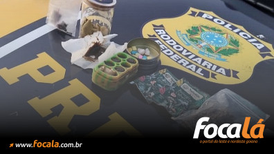 PRF prende homem por tráfico de drogas na BR-020