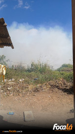 Incêndio em vegetação atinge área de mais de 20 mil m² no Setor Nordeste, em Formosa