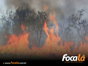 Incêndio em lote baldio mobiliza Corpo de Bombeiros e ameaça residências no Parque Vila Verde, em Formosa