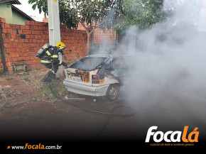 Chanas consomem carro abandonado e mobilizam Corpo de Bombeiros, em Formosa