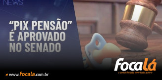 Senado aprova o "Pix Pensão" para pagamentos automáticos de pensão alimentícia