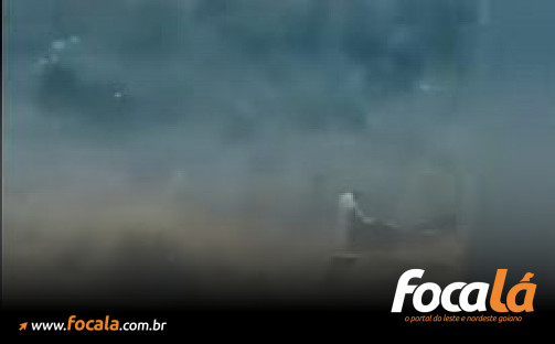 Homem é flagrado por motoristas em ato sexual com animal na GO-430, em Formosa