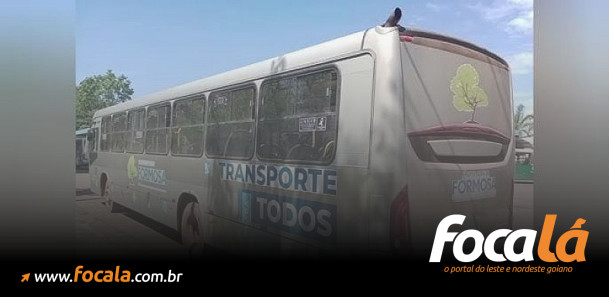 Foto: Youtube