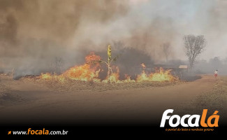 Foto: Ilustração