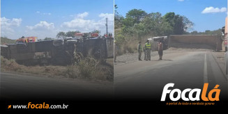 Foto: CBMGO