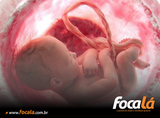 Foto: Ilustração