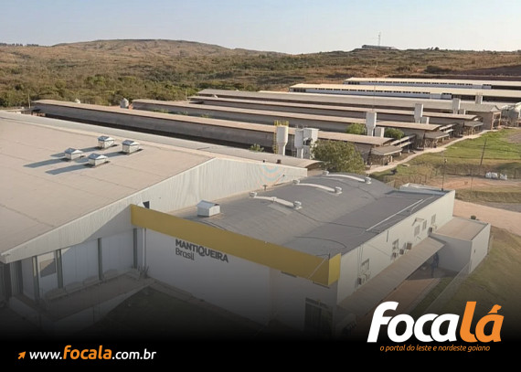 Foto: Portal 6
