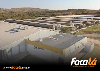 Foto: Portal 6