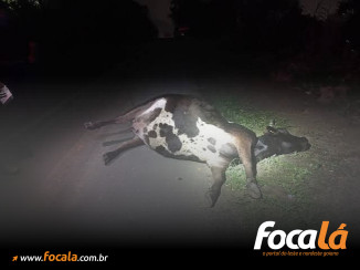 Foto: Ilustração