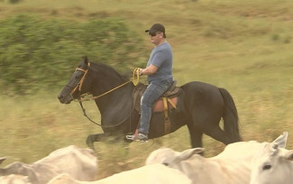 Amado Batista é dono da fazenda que fica em Goianápolis, Goiás — Foto: Reprodução/TV Anhanguera