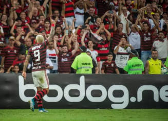Gabigol comemora gol contra o Santos (Foto: Alexandre Vidal / Flamengo)