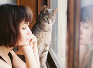 Repdocução: Portal Upsocl