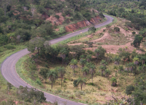 Foto: Reprodução | PM