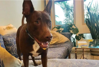 REPRODUÇÃO/INSTAGRAM